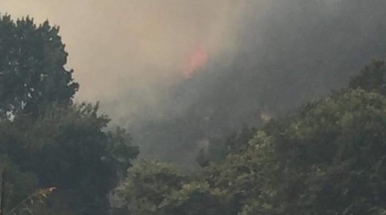 Μάχη με τις φλόγες στα Χανιά - Σε εξέλιξη φωτιά στον Αποκόρωνα