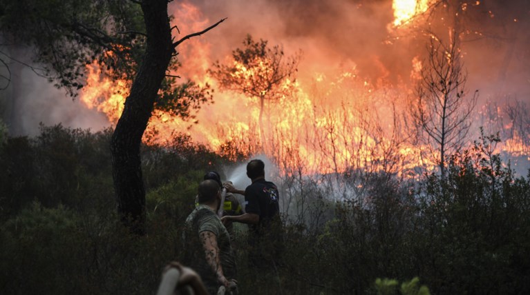 Όλα τα ενεργά μέτωπα: 47 πυρκαγιές σε 24 ώρες