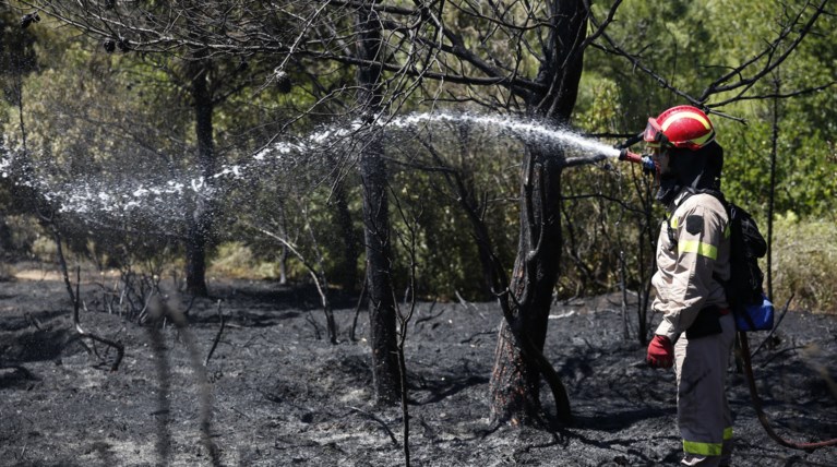 Πυρκαγιά στη περιοχή Λιθάκια Ζακύνθου