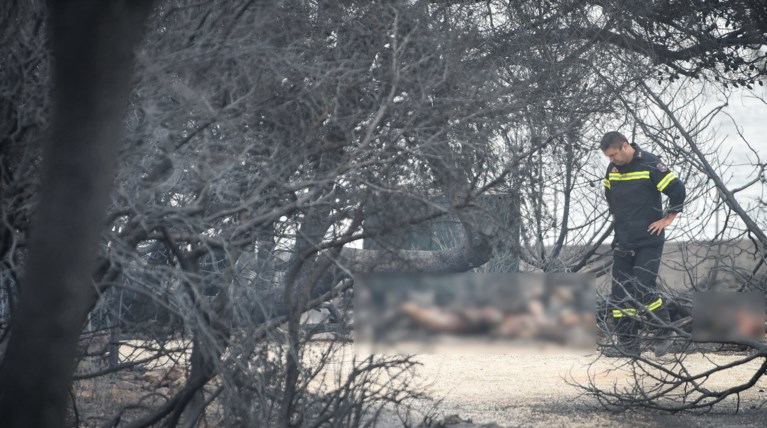 Φονικές πυρκαγιές: Το πέπλο της ασυνεννοησίας μεταξύ των αρμοδίων
