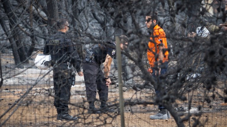 ΕΛΑΣ: Παρελήφθησαν 71 δείγματα συγγενών αγνοούμενων από τη ΔΕΕ