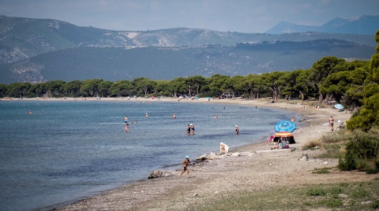 Κανονικά από αύριο οι παιδικές κατασκηνώσεις στον Άγιο Ανδρέα