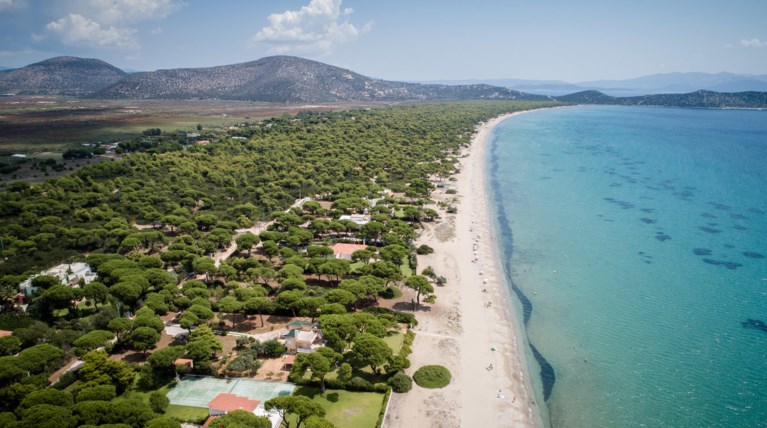 Παράταση στην ανάρτηση των δασικών χαρτών