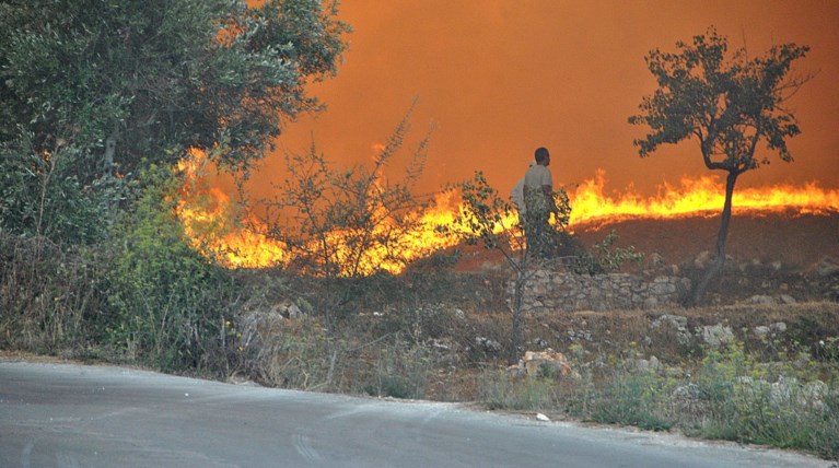 Σε ύφεση η φωτιά στη Ζάκυνθο - Καλύτερη εικόνα στην Πάρο