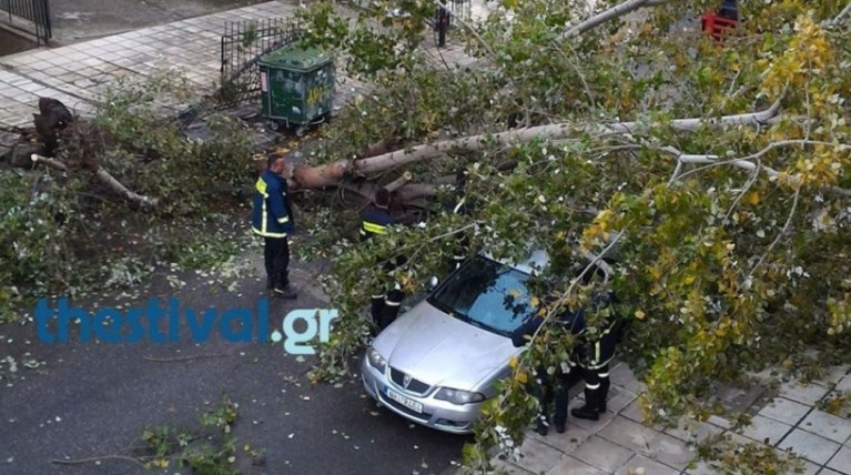 Θεσσαλονίκη: Ισχυρή βροχόπτωση και πτώσεις δέντρων