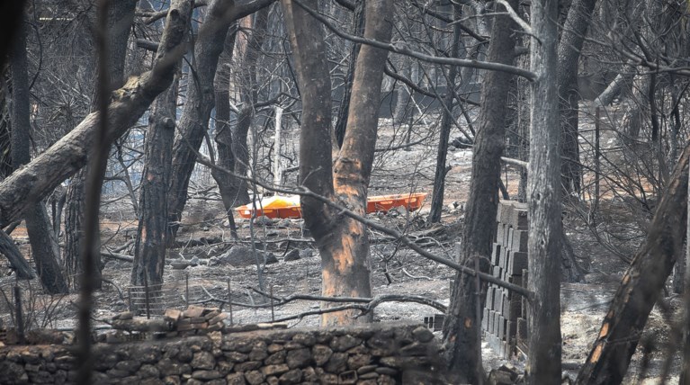 Κατέληξε 95χρονη σε ΜΕΘ, στους 91 οι νεκροί των φονικών πυρκαγιών