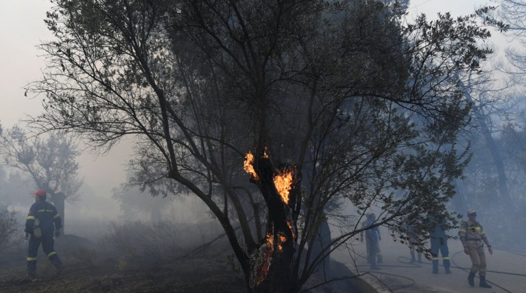 Δύο τα μέτωπα της φωτιάς στην Εύβοια-επιχειρούν εναέρια μέσα