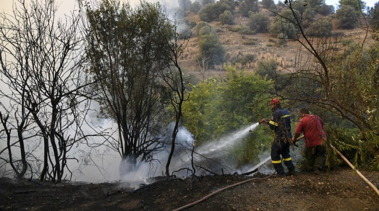 Πυροσβεστική: Δεν υπάρχουν πλέον ενεργά μέτωπα στην Εύβοια
