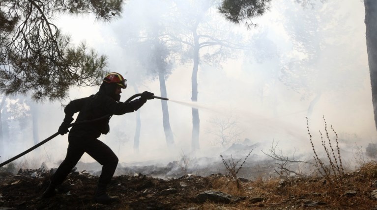 Μυτιλήνη: Κινδύνεψε από πυρκαγιά το περιαστικό άλσος Τσαμάκια