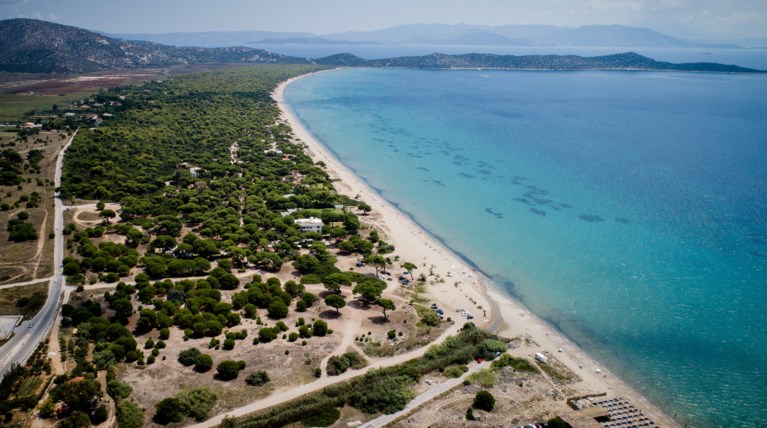 Εκτός χρόνου 39 δήμοι για τους δασικούς χάρτες