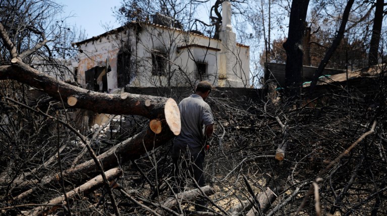 Ζερεφός: Από τον Νοέμβριο και μετά κατάλληλες οι συνθήκες διαμονής στο Μάτι