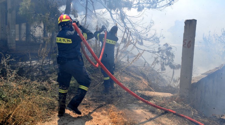 Σε ύφεση η πυρκαγιά στις Ροβιές Ευβοίας