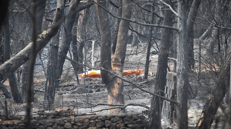 Στους 98 οι νεκροί από τις φονικές πυρκαγιές της Αττικής