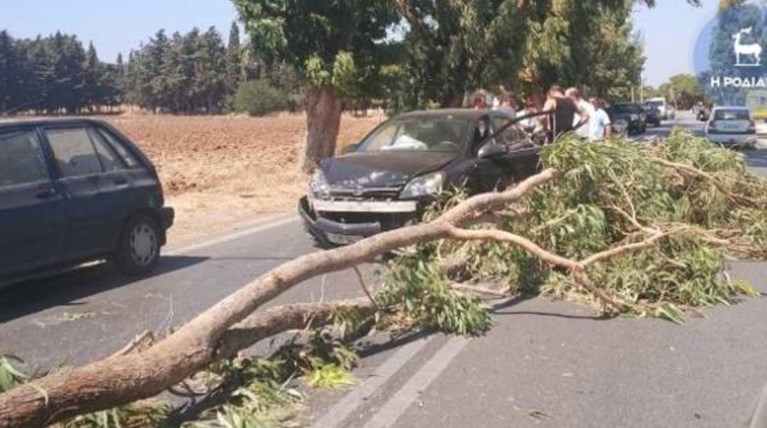 Ρόδος: Τεράστιο κλαδί «προσγειώθηκε» σε ΙΧ