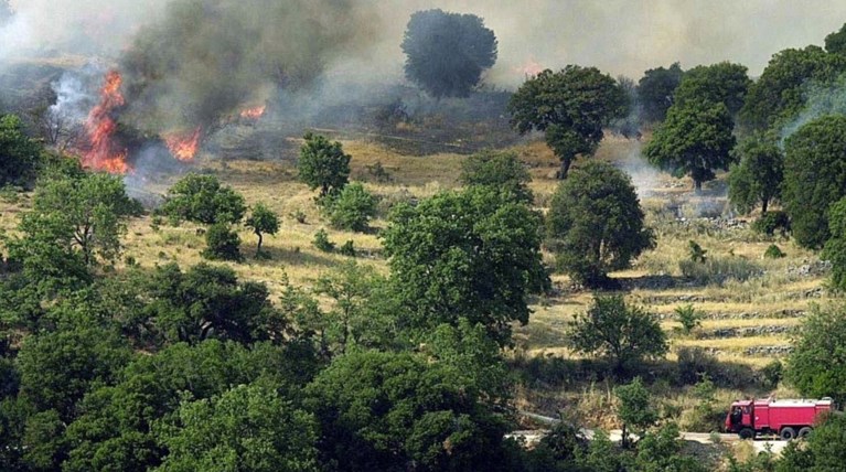 Σε εξέλιξη δασική πυρκαγιά στην ανατολική Μάνη