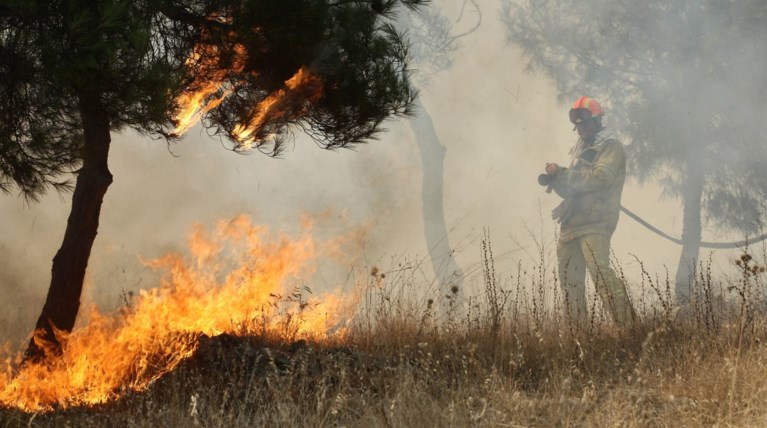 Πυρκαγιά στην Καστοριά - Δεν απειλούνται κατοικημένες περιοχές