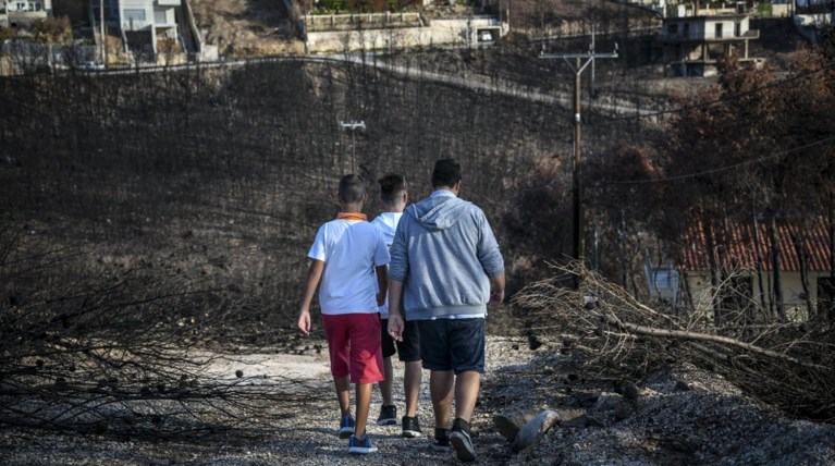Ενημέρωση στο Νέο Βουτζά για ζητήματα υγείας, υλοτόμηση και αποζημιώσεις