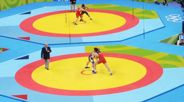 Μαθήματα πάλης στους ελεγκτές της ΑΑΔΕ για να αντιμετωπίζουν τους νταήδες