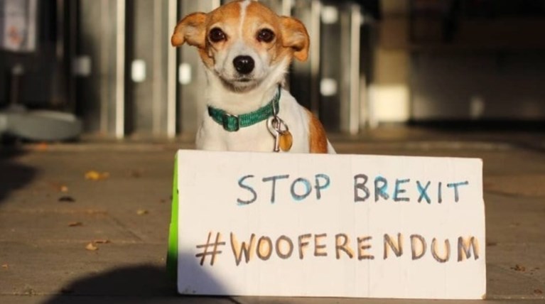 Wooferendum: Οι σκύλοι της Βρετανίας διαδηλώνουν κατά του Brexit