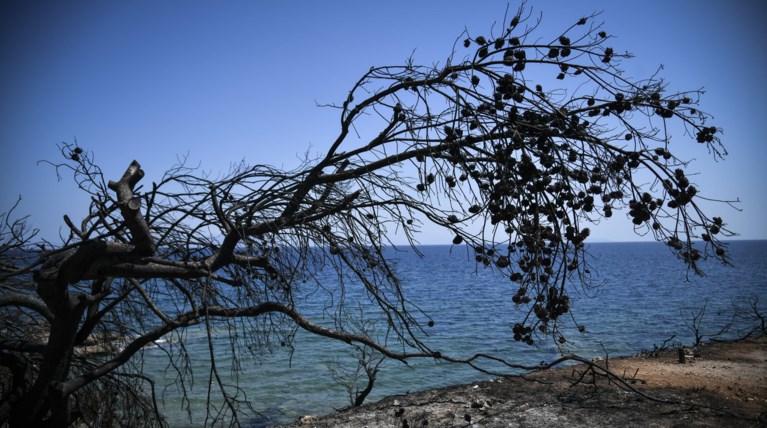 Έρευνα για το Μάτι: Γιατί "φρενάρει" η απόδοση ποινικών ευθυνών