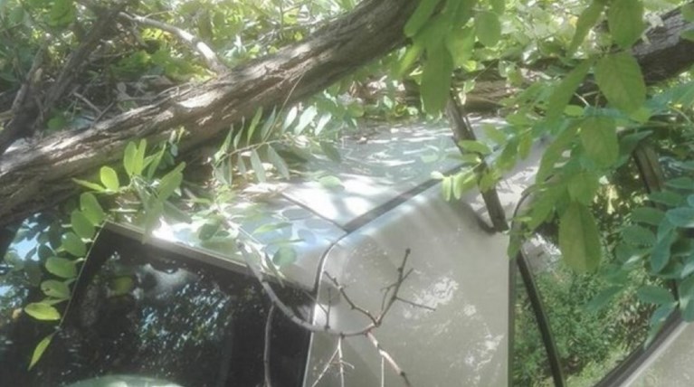 Βοριάδες, φωτιές και πτώσεις δέντρων στη Θεσσαλονίκη