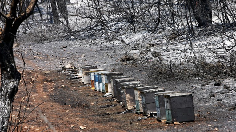 Πολύ υψηλός ο κίνδυνος πυρκαγιάς και αύριο σε εννέα Περιφέρειες