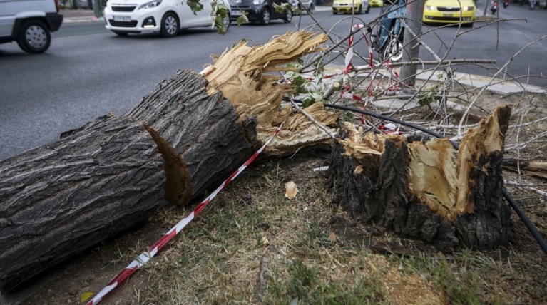 Κλειστά τα σχολεία την Παρασκευή στα νότια προάστια
