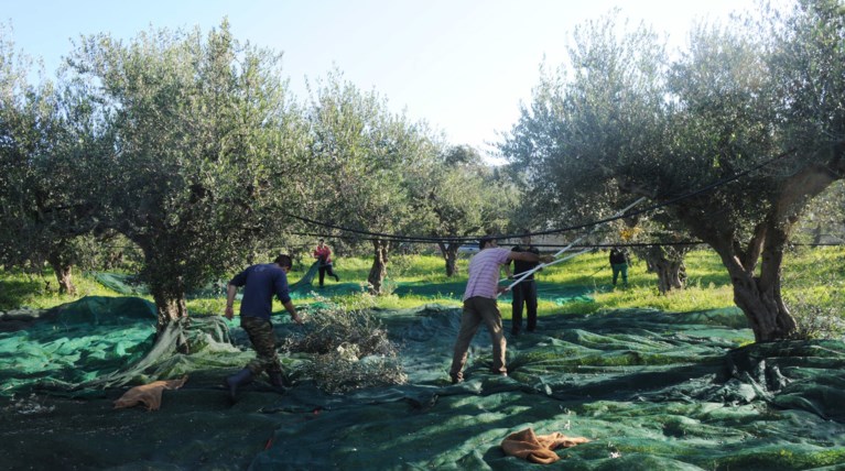 “Στο πυρ το εξώτερον” Τούρκος υπουργός, γιατί… του αρέσει το κρητικό λάδι