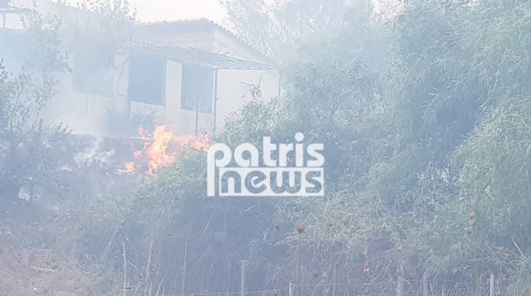 Ηλεία: Οριοθετήθηκε η πυρκαγιά - Μικρές ζημιές