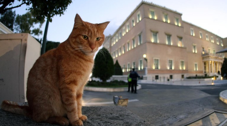 ΣΤΙΓΜΙΟΤΥΠΟ ΕΞΩ ΑΠΟ ΤΟ ΚΟΙΝΟΒΟΥΛΙΟ