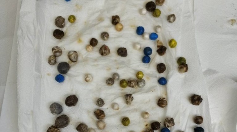 Πάτρα: Ο καλός ο μύλος όλα τα αλέθει – Κατάπιε ηρωΐνη, χασίς και κόκα