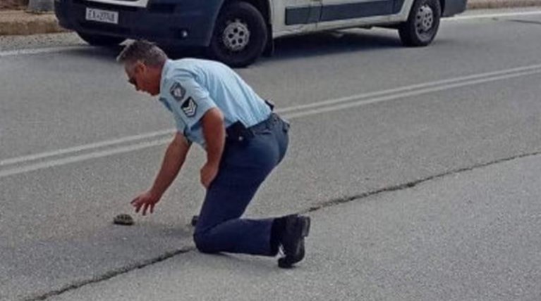 Αστυνομικός στην Καστοριά βοήθησε χελωνάκι να περάσει το δρόμο (φωτό)