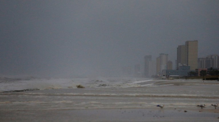 «Ο τυφώνας του αιώνα» στη Φλόριντα: Eφυγαν 2,1 εκατ. πολίτες