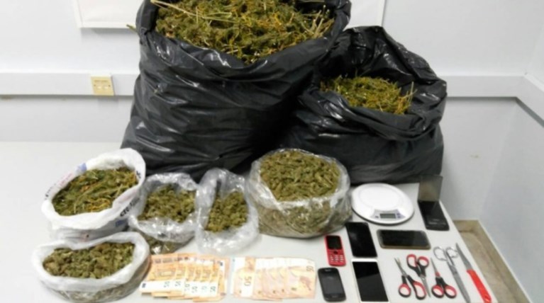 Τέσσερις συλλήψεις και κατάσχεση 115 δενδρυλλίων κάνναβης