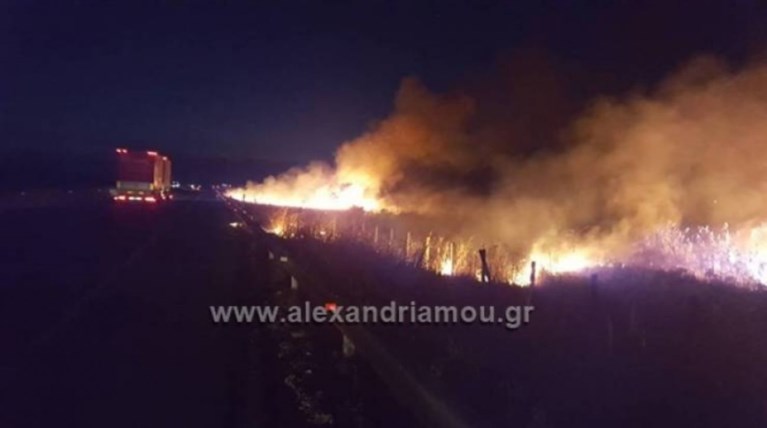 Φωτιά δίπλα στην εθνική στην Εγνατία Οδό - Εικόνες