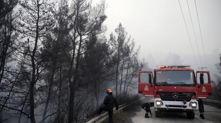 Oλονύκτια μάχη με τις φλόγες στην Σιθωνία Χαλκιδικής
