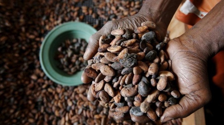 Παλαιότερη κατά 1.500 χρόνια η καταγωγή της σοκολάτας