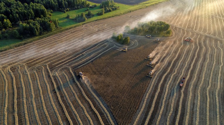 Ερευνα στη Γαλλία  για μωρά που γεννήθηκαν χωρίς χέρια