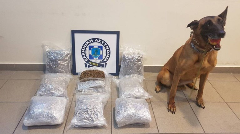 Η Bess έχει λόγους να καμαρώνει και να χαίρεται