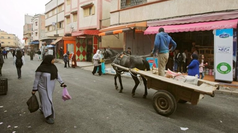 Βρετανός πέθανε από λύσσα αφού τον δάγκωσε μια γάτα στο Μαρόκο