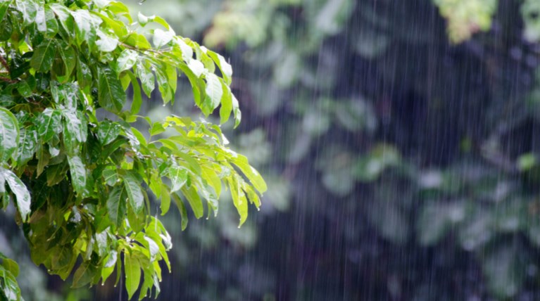 Τοπικές βροχές με την θερμοκρασία έως τους 20 βαθμούς