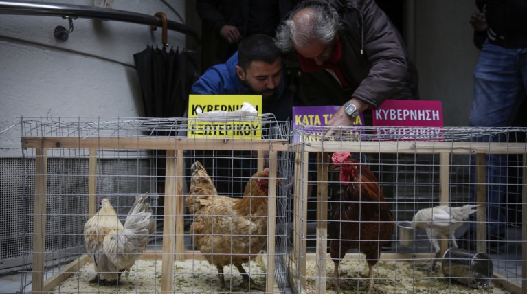 Με κότες και κόκορες η ΠΟΕΔΗΝ έξω από το υπουργείο Υγείας [Εικόνες]