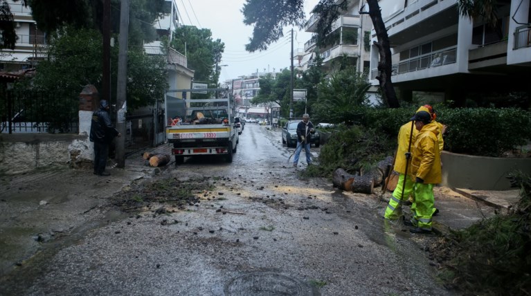 Πεύκο ξεριζώθηκε από τον αέρα στην Αγία Παρασκευή (φωτό)