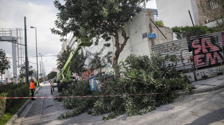 Αττική: Άνεμοι 100 km/h - Έκλεισε ο Εθνικός Κήπος
