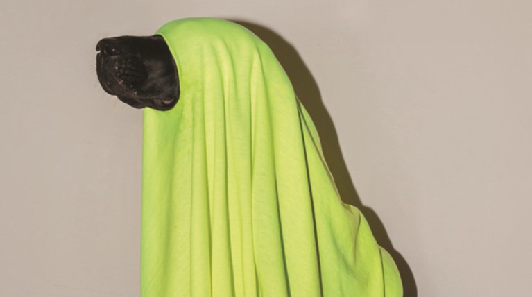 Αυτό είναι το poster του Φεστιβάλ Ντοκιμαντέρ Θεσ/κης με «ηχηρό» μήνυμα