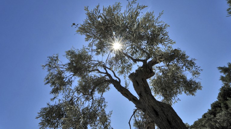Αίθριος καιρός με θερμοκρασίες ως 19 βαθμούς