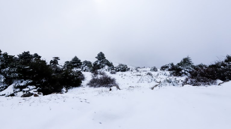 Χιόνια σε Πάρνηθα και Κιθαιρώνα