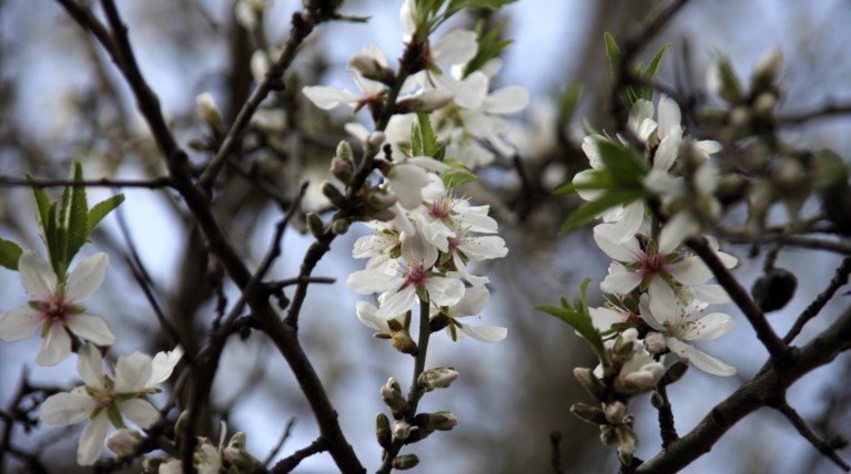 Μεγάλη Παρασκευή με έντονη σκόνη και υψηλές θερμοκρασίες
