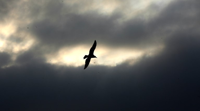 Συννεφιά με βροχές και καταιγίδες την Τρίτη-Πτώση της θερμοκρασίας