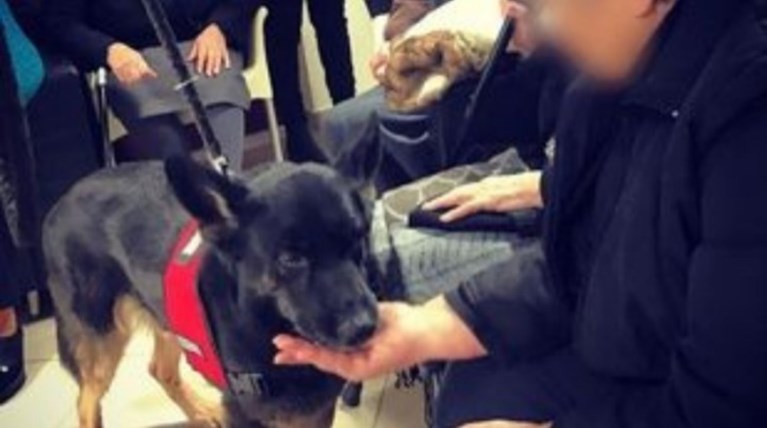 Ανάπηρος σκύλος έσωσε νεογέννητο που το έθαψαν ζωντανό σε χωράφι